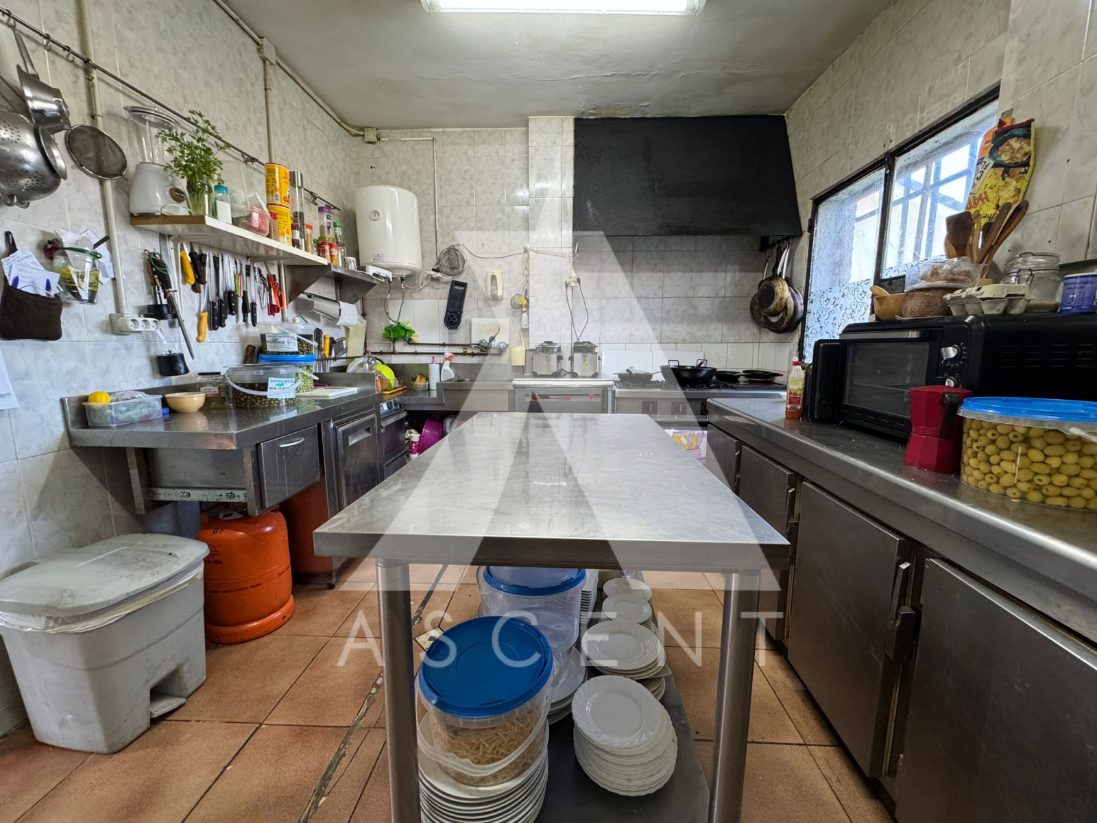 WhatsApp Image 2025-10-14 at 15.44.01