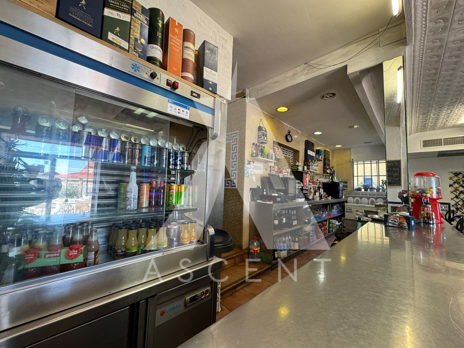 WhatsApp Image 2025-10-14 at 15.44.02 (2)