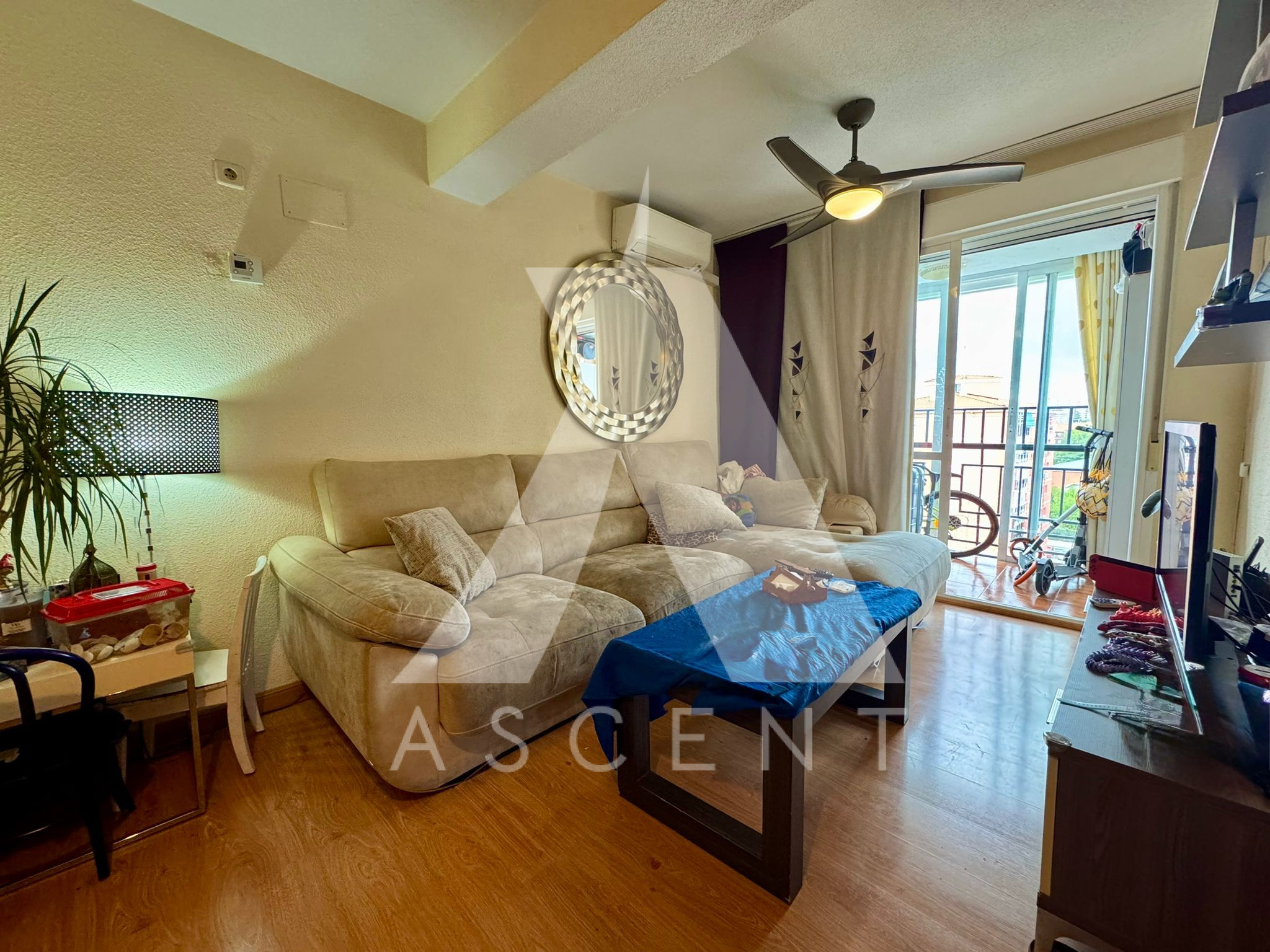 WhatsApp Image 2025-10-30 at 16.09.43 (4)