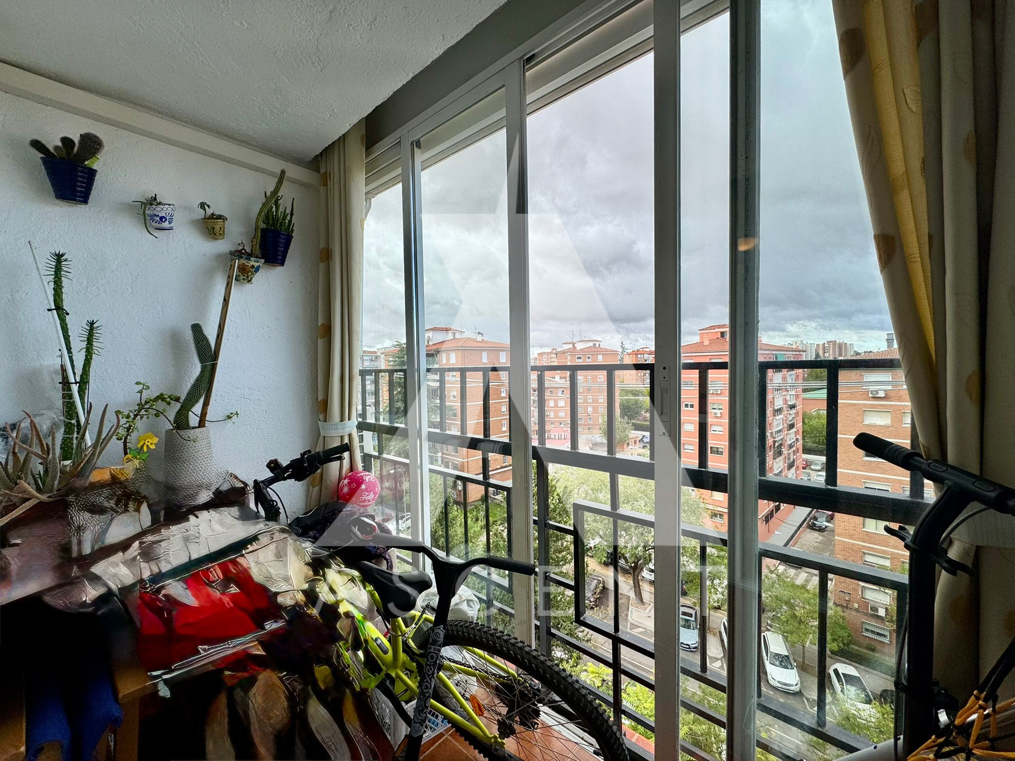 WhatsApp Image 2025-10-30 at 16.09.43