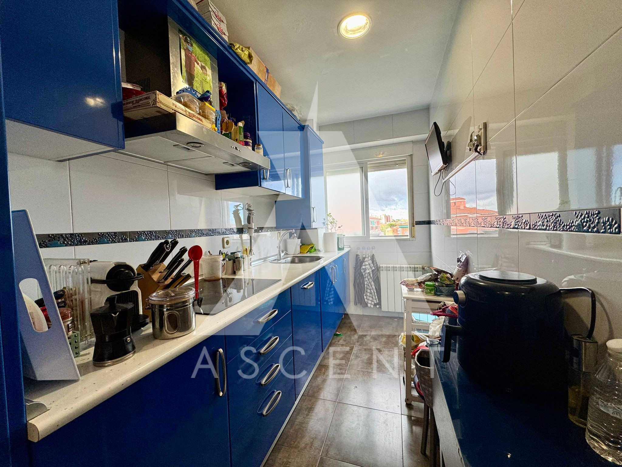 WhatsApp Image 2025-10-30 at 16.09.45