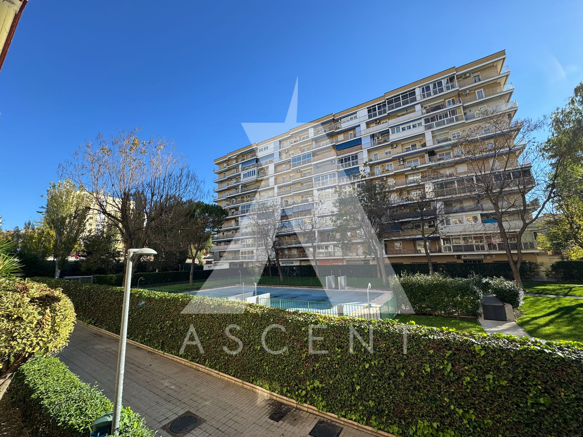 WhatsApp Image 2025-11-18 at 21.17.14