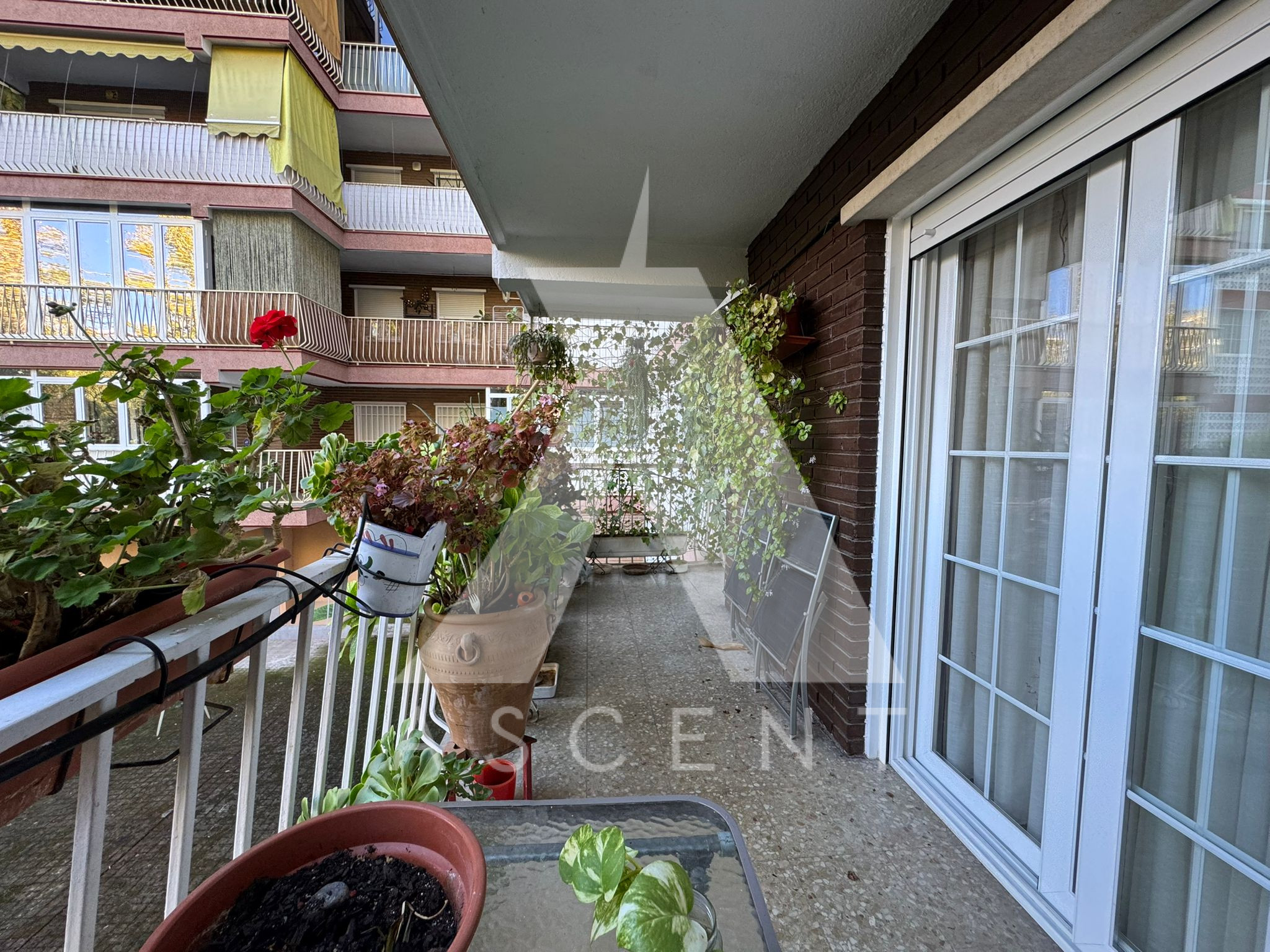 WhatsApp Image 2025-11-18 at 21.17.32 (2)