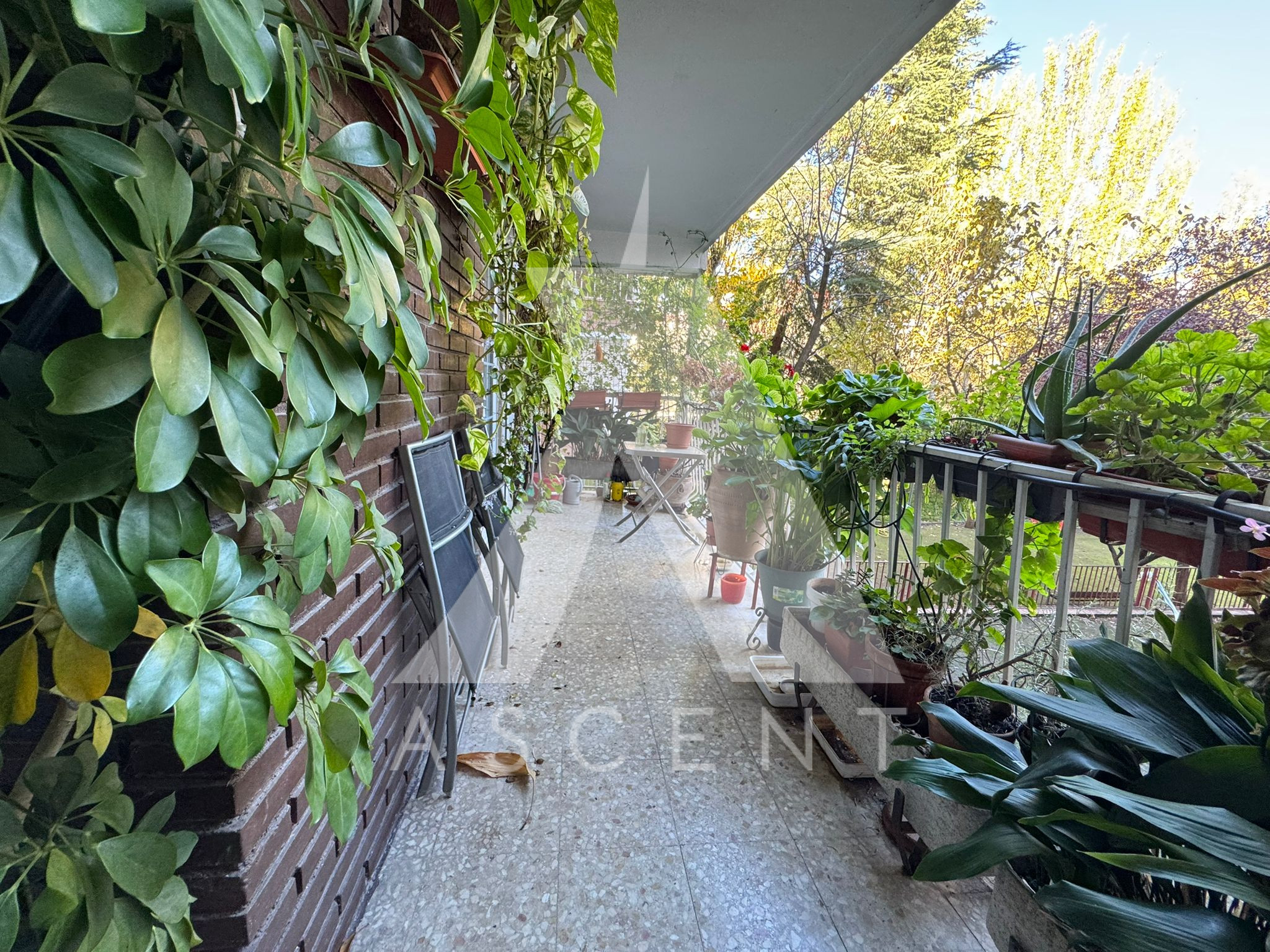 WhatsApp Image 2025-11-18 at 21.17.33 (3)