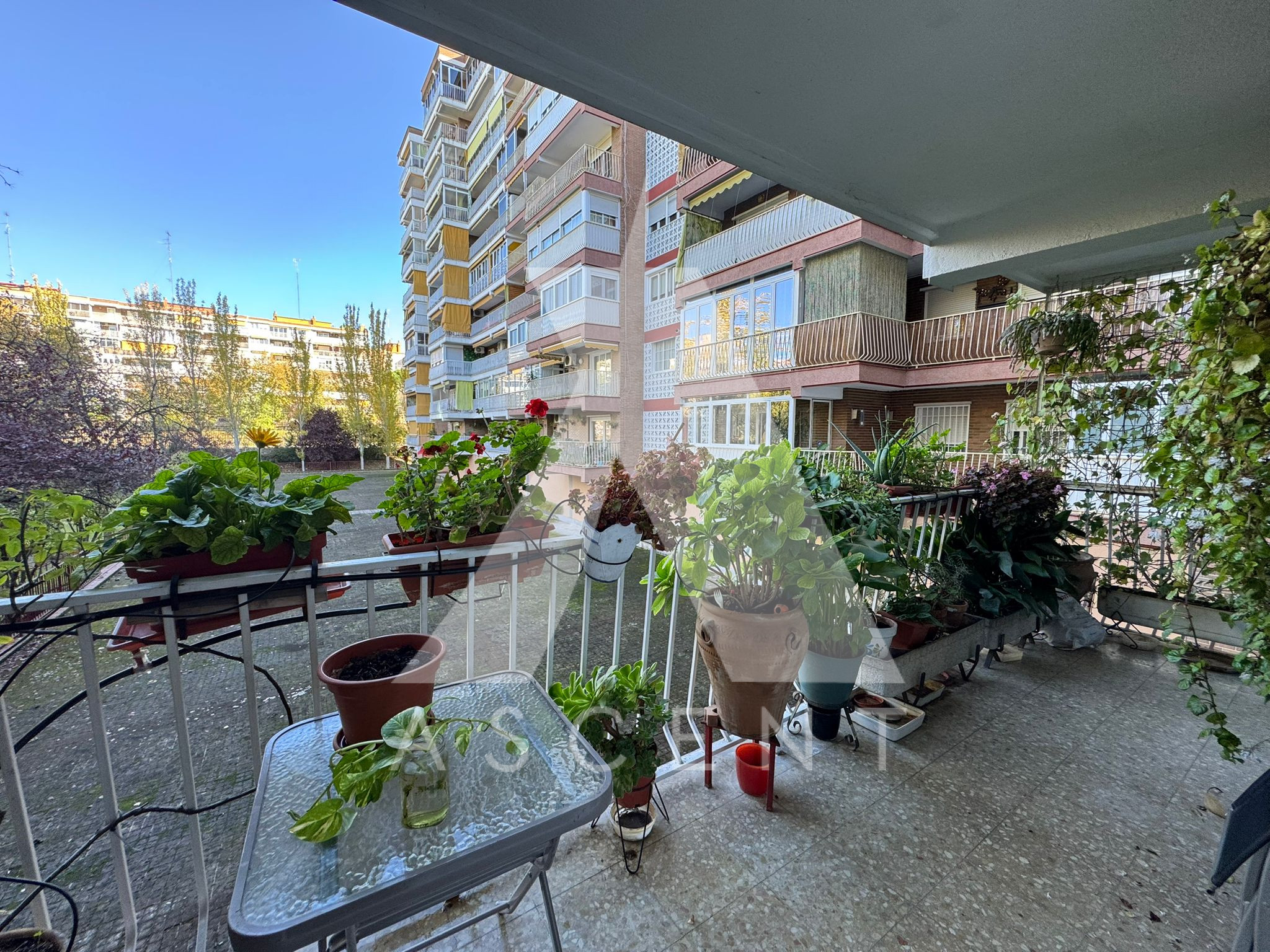 WhatsApp Image 2025-11-18 at 21.17.33